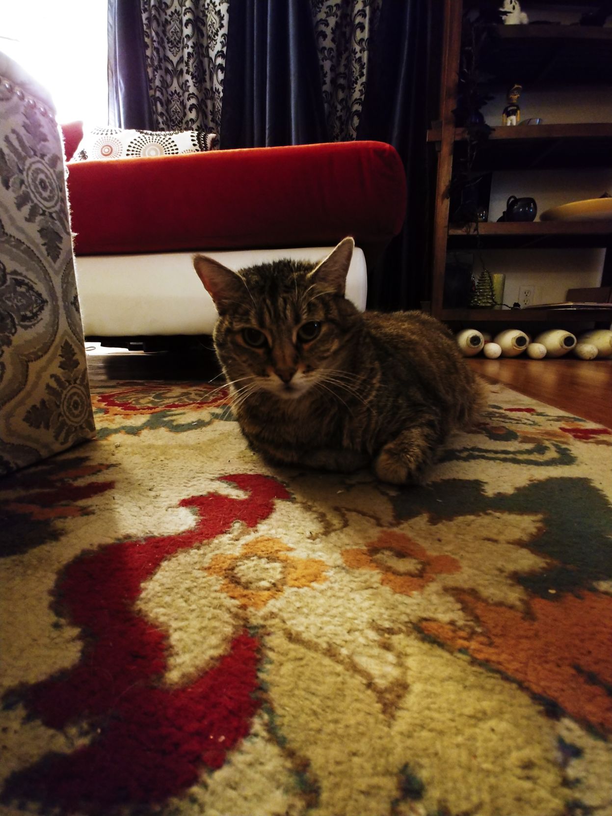 Stubby